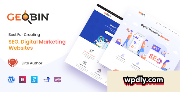 geobin-v19---digital-marketing-agency-theme