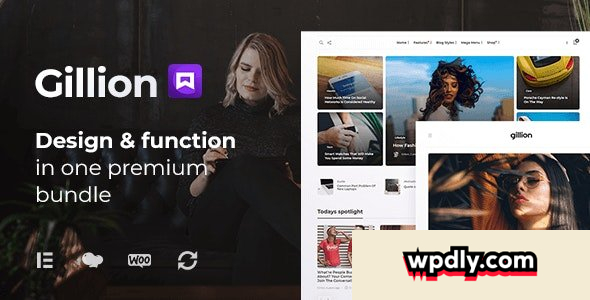 gillion-v411---multi-concept-blogmagazine-amp-shop-wordpress-theme