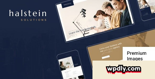 halstein-v16---business-consulting
