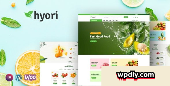 hyori-v104---organic-food-woocommerce-theme