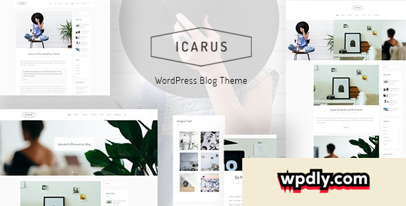 icarus-v100---personal-blog-wordpress-theme