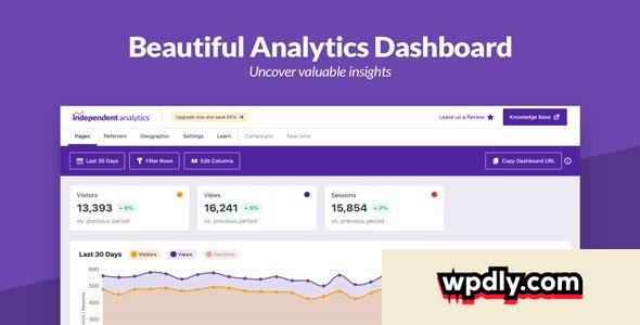 independent-analytics-pro-295