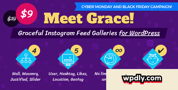 instagram-feed-gallery---grace-for-wordpress-v113