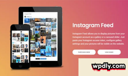 instagram-feed-pro-v436