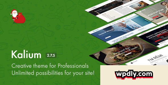kalium-v275---creative-theme-for-professionals