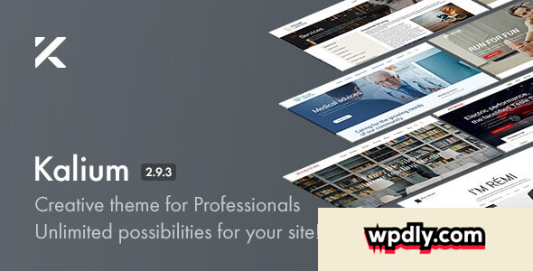 kalium-v293---creative-theme-for-professionals