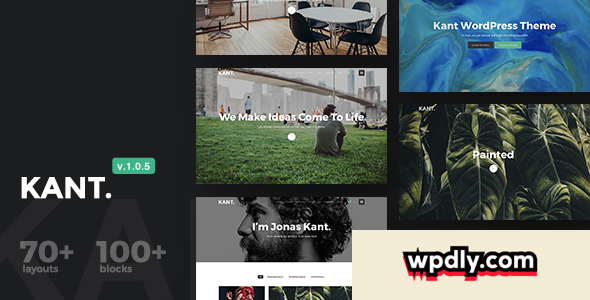 kant-v105---a-multipurpose-wordpress-theme-for-startups