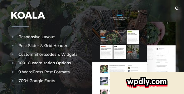 koala-v411---responsive-wordpress-blog-theme