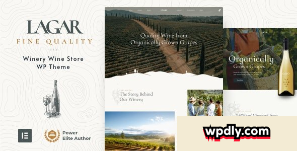 lagar-v81---winery-wine-shop