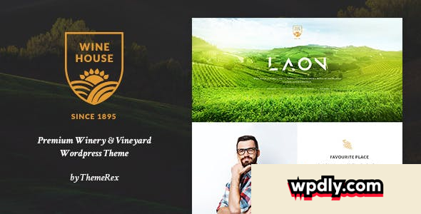 laon-v170---wine-house-winery--wine-shop-theme