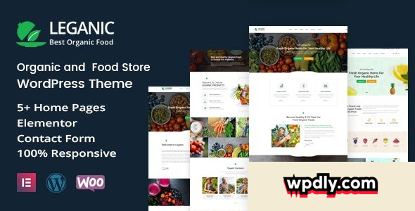 leganic-v12---organic-and-food-store-wordpress-theme