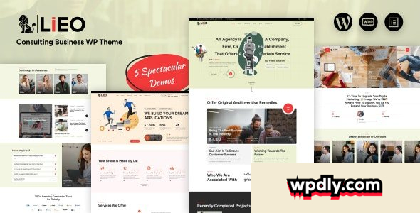 lieo-v103---consulting-theme
