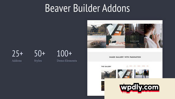 livemesh---addons-for-beaver-builder-pro-v25