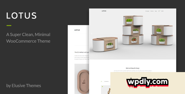 lotus-v20---modern-minimal-wordpress-woocommerce-theme