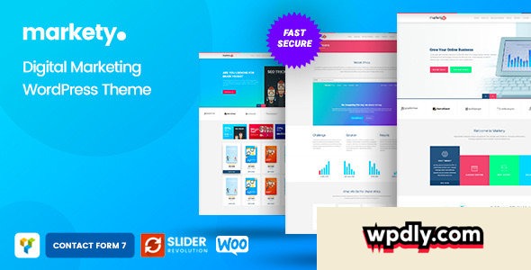 markety-v16---seo-and-digital-marketing-wordpress-theme