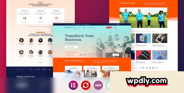 marlab-v108--digital-solutions-wordpress-theme