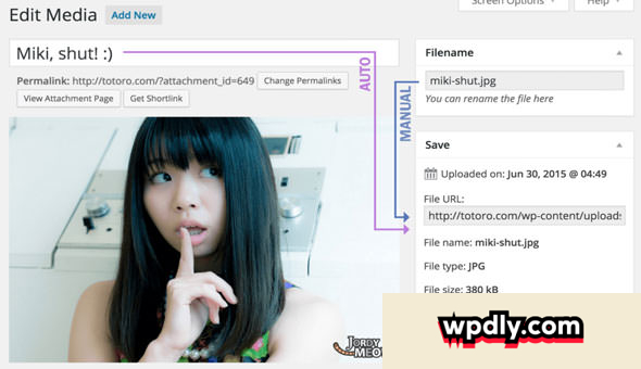 media-file-renamer-pro-v424