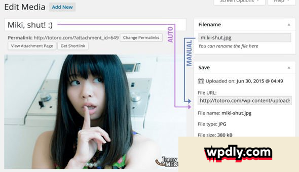 media-file-renamer-pro-v601