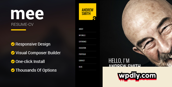 mee-v170---responsive-resume--cv-wordpress-theme