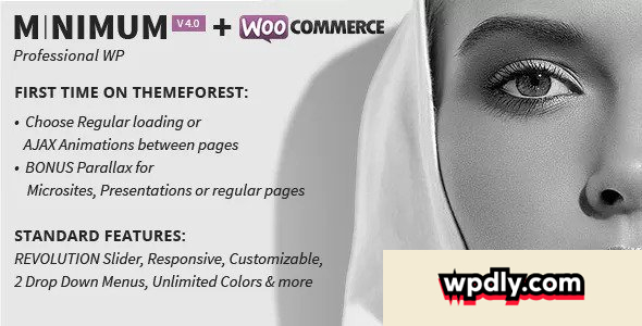 minimum-v40---professional-wordpress-theme