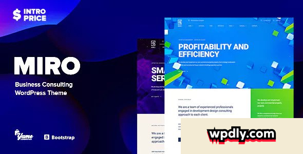 miro-v10---business-consulting-wordpress-theme