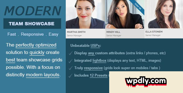 modern-team-showcase-v250---wordpress-plugin