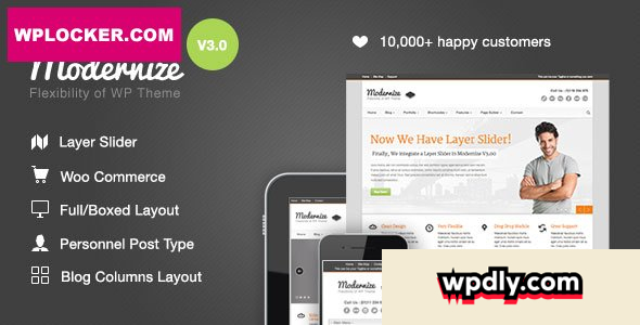 modernize-v332---flexibility-of-wordpress