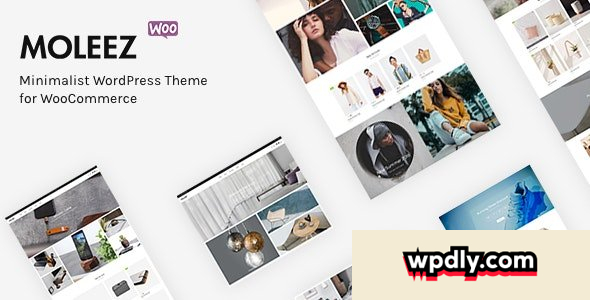 moleez-v244---minimalist-wordpress-theme-for-woocommerce
