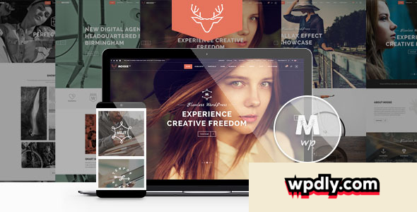 moose-v301---creative-multi-purpose-theme