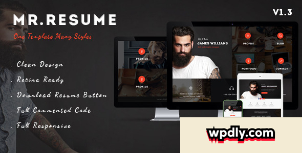 morgan-v13---resume-profile-and-portfolio-wp-theme