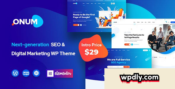onum-v116---seo-amp-marketing-elementor-wordpress-theme