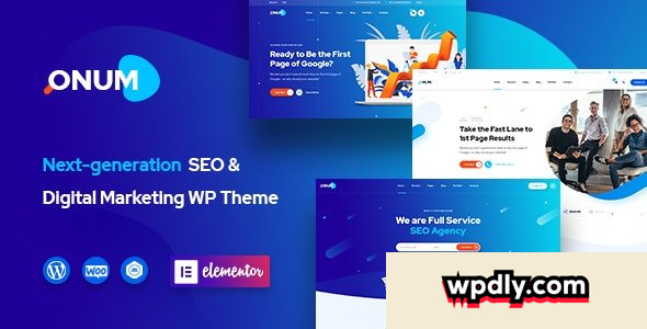 onum-v123---seo-amp-marketing-elementor-wordpress-theme