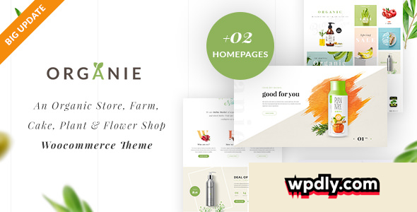organie-v243---an-organic-store-farm-cake-and-flower-shop