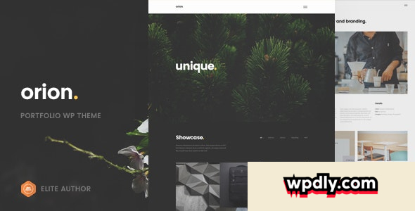 orion-v10---minimal-portfolio-wordpress-theme