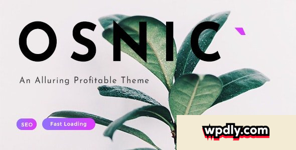 osnic-v300---adsense-wordpress-theme
