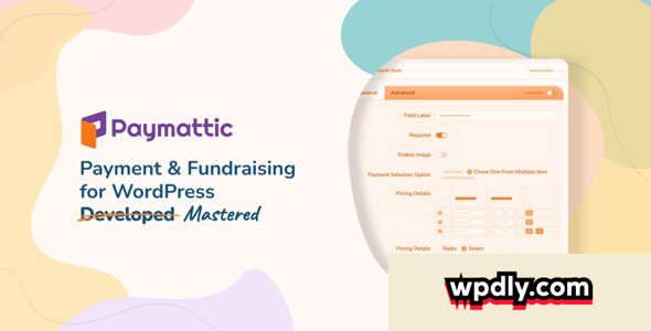 paymattic-pro-461
