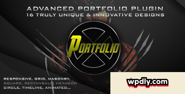 portfolio-x-v405