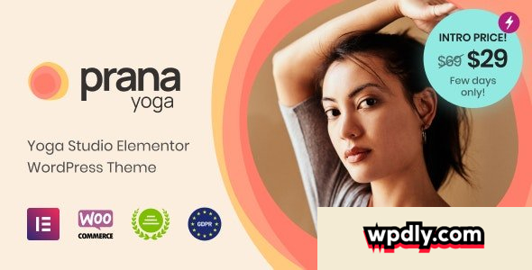 prana-yoga-v10---theme-for-elementor
