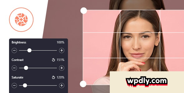provision-image-editor-for-wordpress--woocommerce-with-folders-file-manager-v100