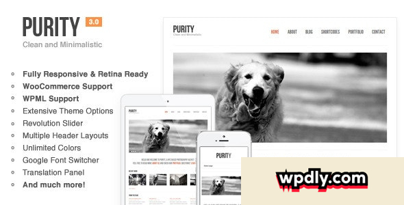 purity-v448---responsive-minimal-amp-bold-wp-theme