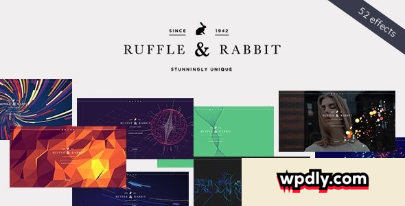 rabbit-v403---exclusive-coming-soon-wordpress-theme