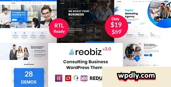 reobiz-v486---consulting-business-wordpress-theme