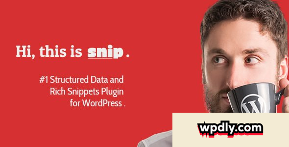 rich-snippets-wordpress-plugin-v254