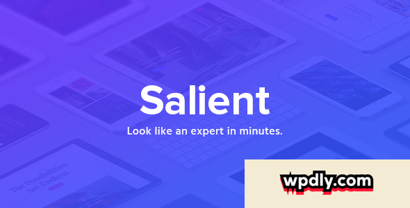salient-v1004---responsive-multi-purpose-theme