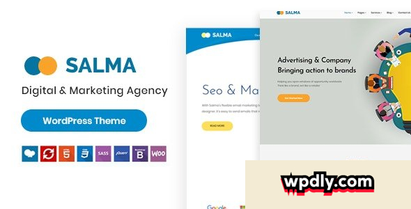 salma-v100---seo-marketing-wordpress-theme