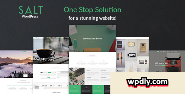 salt-v128---responsive-multi-purpose-wordpress-theme
