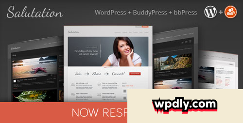 salutation-v3017---themeforest-responsive-wp--buddypress