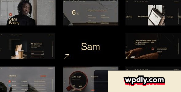sam-bailey-v10---personal-cvresume-wordpress-theme