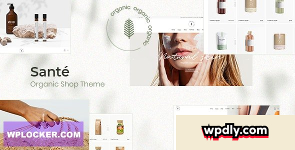sant-v131---organic-shop-theme