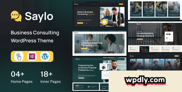 saylo-v10---finance-amp-consulting-wordpress-theme